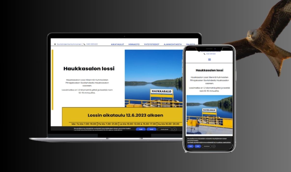 Haukkasalon lossille Onepager WordPressiin